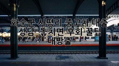 화순군 사평리 중고차 대출 상담, ✨ 놓치면 후회! 꿀팁 대방출 🍯