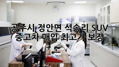 공주시 정안면 석송리 SUV 중고차 매입: 최고가 보장!